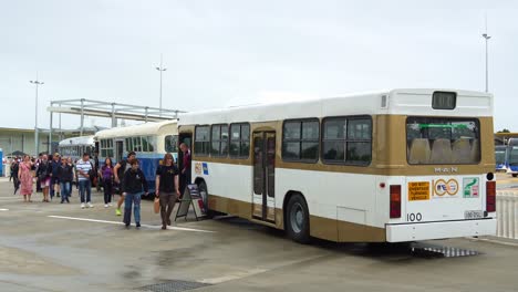 vintage buses exhibiting at brisbane metro depot in rochedale during community open day.