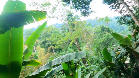 POV-ziplining-through-exotic-jungle-in-Thailand