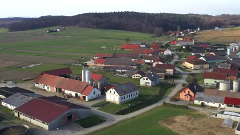 central european village in slovenia, mixed residential and farming landscape, traditional farmhouses with contemporary architecture, aerial panorama