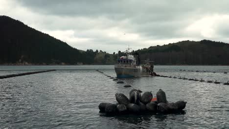 Slowmo---Trabajadores-En-Barco-Cosechando-Mejillones-De-Concha-Verde-De-Nueva-Zelanda