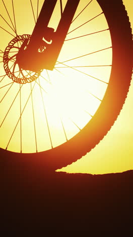 amazing sunset and a big wheel of a bike in the evening. silhouette of a bicycle on the background of golden sunset outdoors. natural evening landscape and a bike. close-up. vertical video