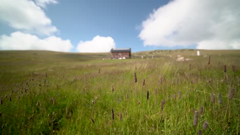serene mountain landscape with cabin