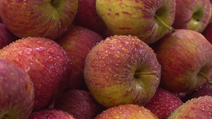 Grazie alla presenza di fitocomposti nelle mele, queste hanno acquisito un'importanza speciale nel corpo umano
