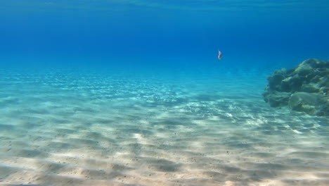 Underwater-view-of-sand-and-a-rocky-coral-in-the-mediterranean-sea,-Greece,-summer