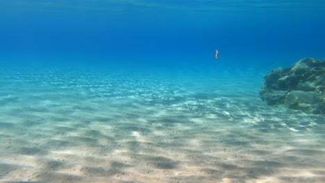 underwater view of sand and a rocky coral in the mediterranean sea, greece, summer