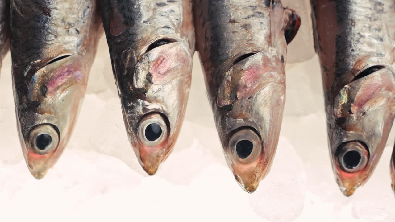 anchoas frescas en hielo