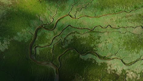 static aerial birdseye view of the slikken van voorne tidal flats with the shadows of clouds passing by on the green landscape