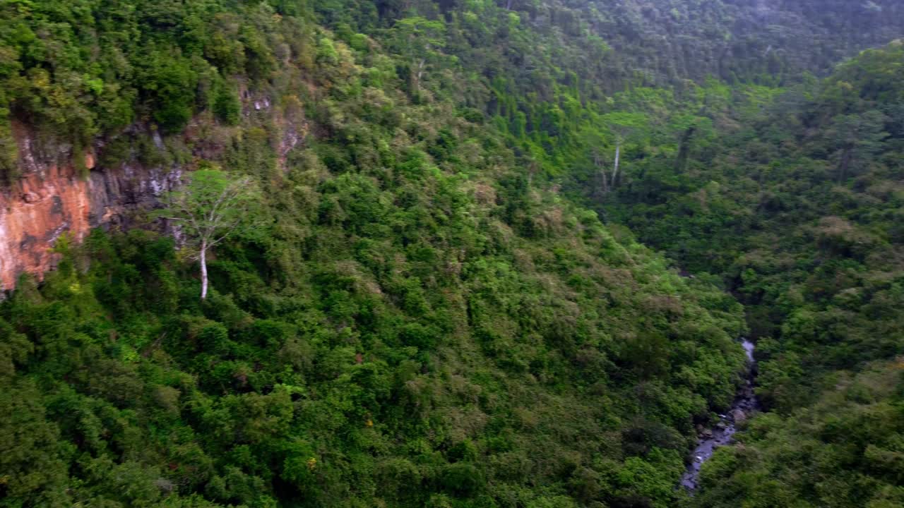 Aerial View of Lush Forest with Waterfall and River