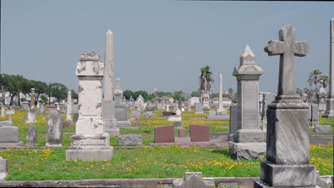 establishing shot of old city cemetery in galveston, texas