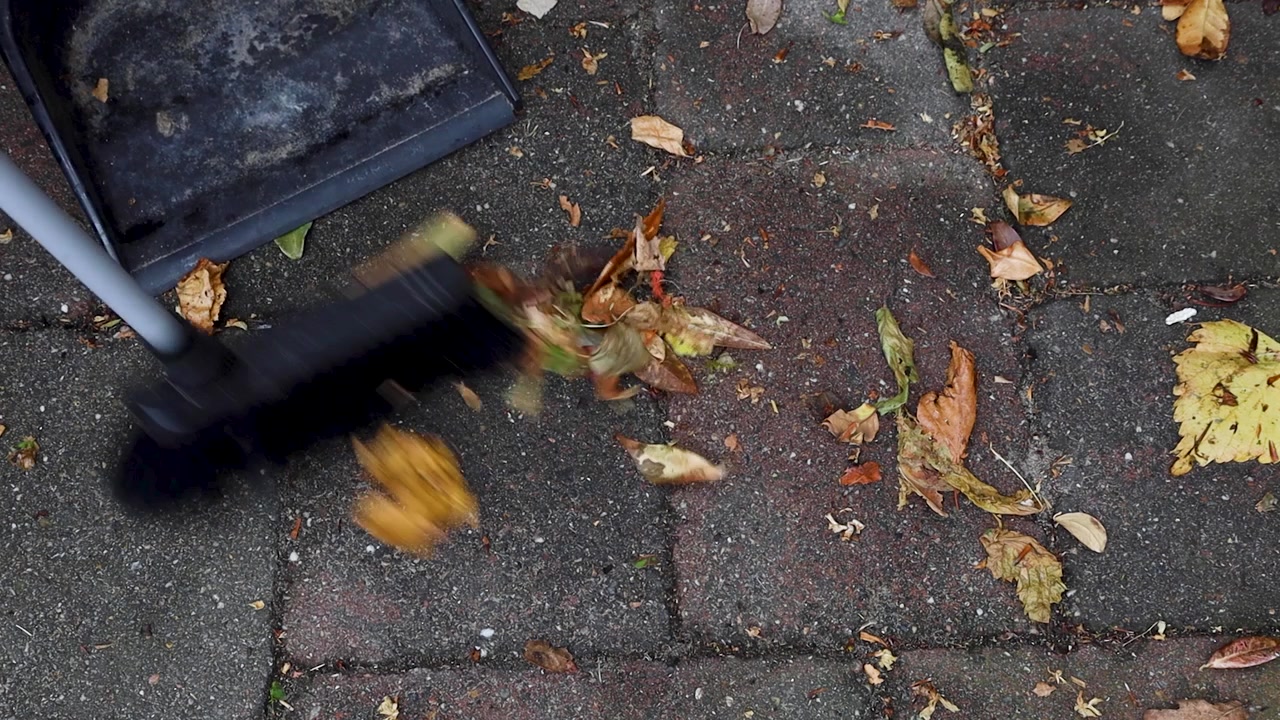 Video cleaning up fallen leaves.