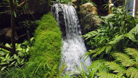 waterfall with fast current surrounded by lush green nature