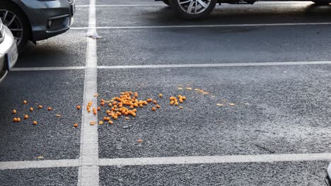 Seagulls-scavenging-food-in-a-car-park