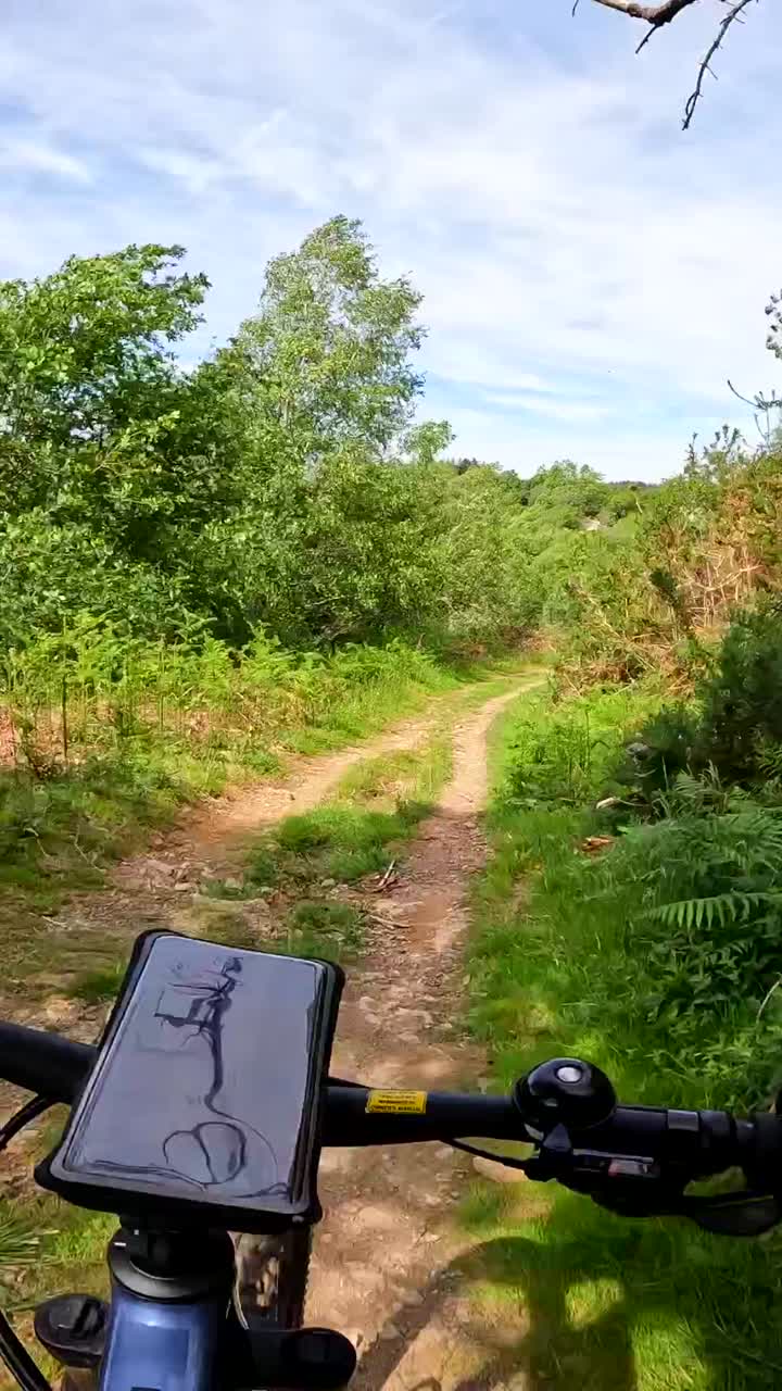 Mountain Biking on a Forest Trail