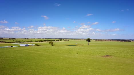 Aerial-drone-shot-of-green-fields-and-agriculture-near-Illowa-Victoria-Australia