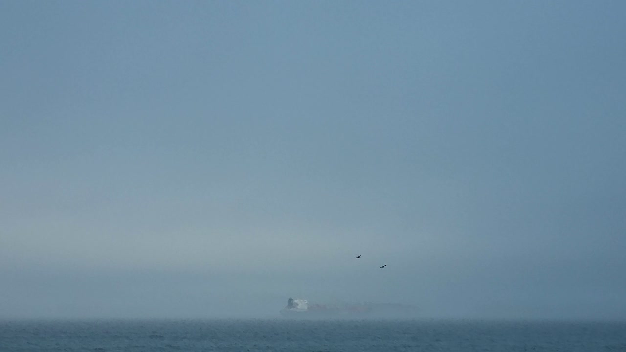 으스스한 배를 배경으로 안개 낀 하늘을 날고 있는 두 마리의 검은 새