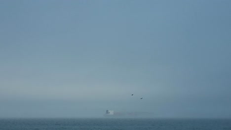 two black birds flying across a foggy sky with a spooky looking ship in background