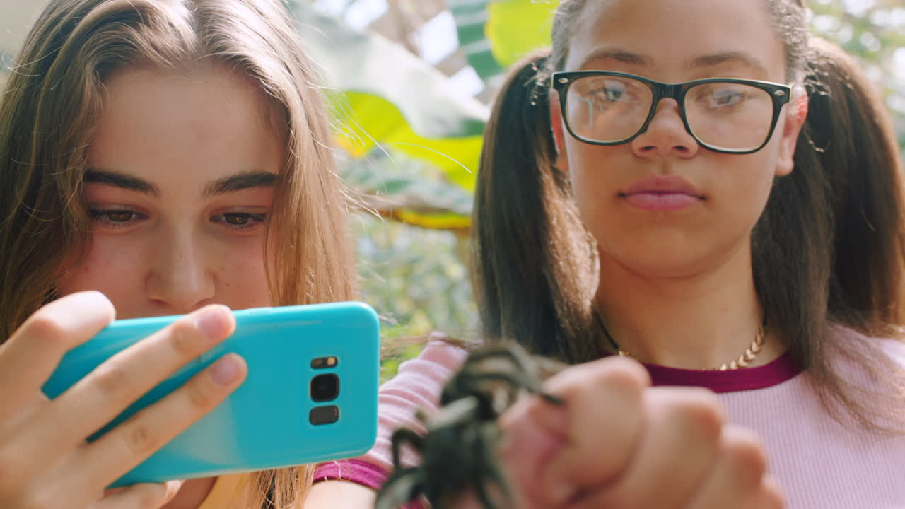 teléfono, fotografía o chica con una araña