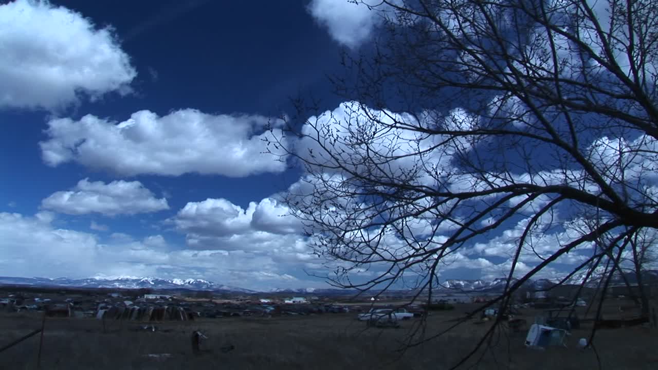 전경에 자동차 묘지와 나무 가지가 있고 배경에 록키 산맥이 있는 콜로라도의 넓은 하늘