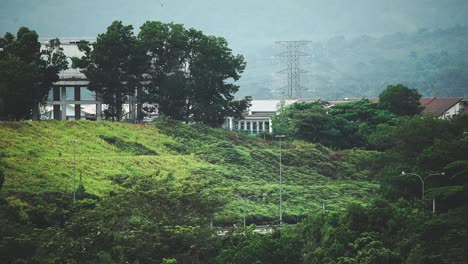 a highway near residential area_car crossing_bird flying_morning routine_off to work_long shot_50fps