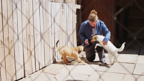 dog in a shelter with volunteer