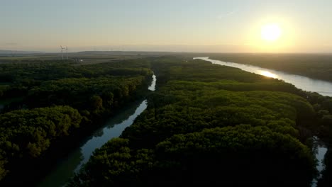 Auenlandschaft,-Donauauen,-Nationalpark-Donauauen,-Niederösterreich---Drohnenaufnahme-Aus-Der-Luft