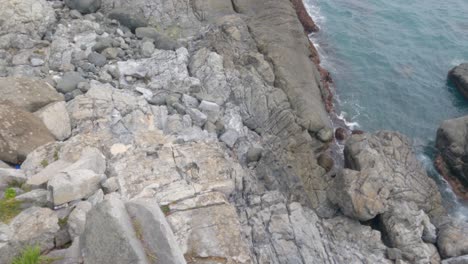 A-smooth-moving-camera-shot-of-rocky-cliffside-shoreline-ocean-waves-and-green-pine-trees-next-to-the-Sea-of-Japan-in-coastal-Busan,-South-Korea