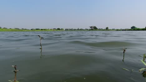 Autumnal-nature-breeze-and-resulting-water-ripples