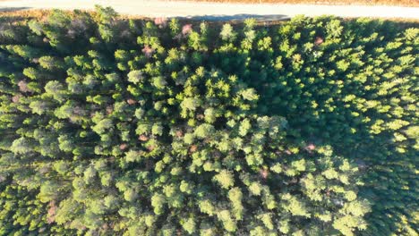 Drone footage, top