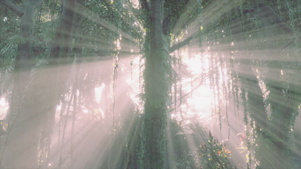 어 ⁇  속의 깊은 열대 정글