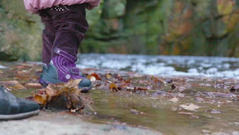 niño con botas púrpuras caminando por un arroyo en otoño
