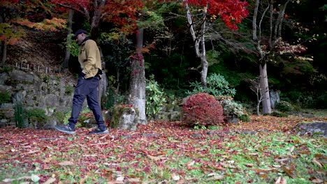 young man walking in peaceful japanese garden during fall, surrounded by colorful foliage