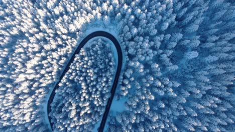 bird's eye view of winter winding road in the middle of the forest - drone shot