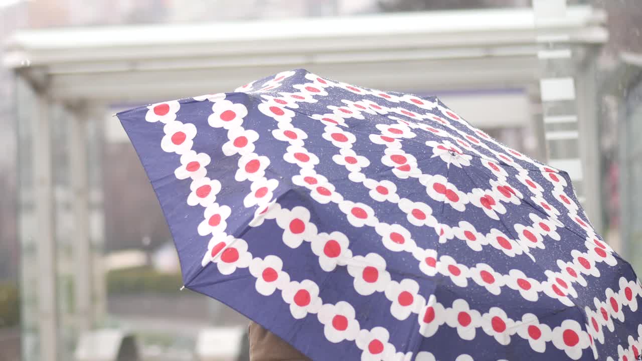 비가 오는 동안 꽃의 우산을 들고 있는 여자