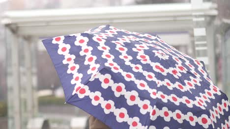 mujer con un paraguas floral en la lluvia