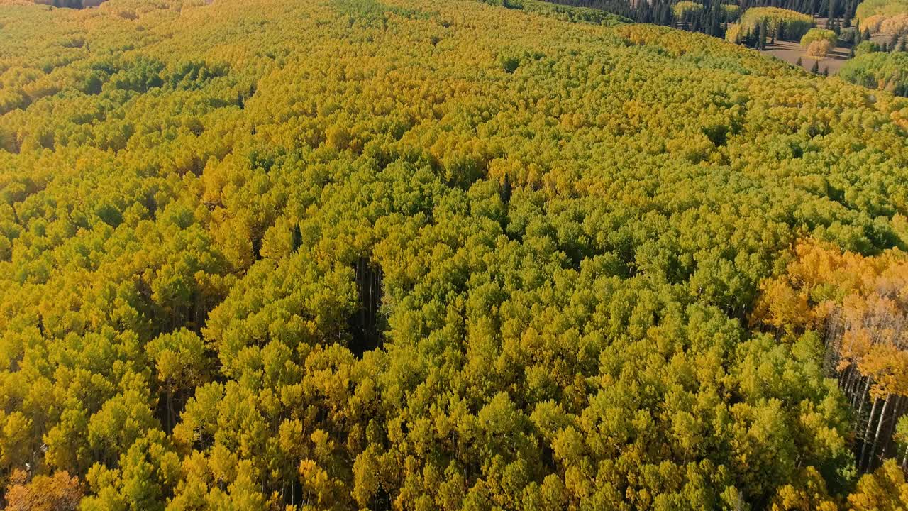 케블러 패스를 켜는 아스펜, 콜로라도