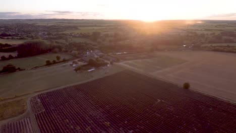 slowly panning across rolling fields and farmland as the beautiful sunset comes into shot