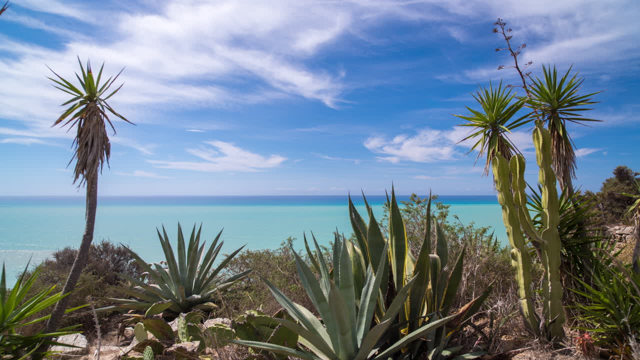 시칠리아 cactustl 4k 01