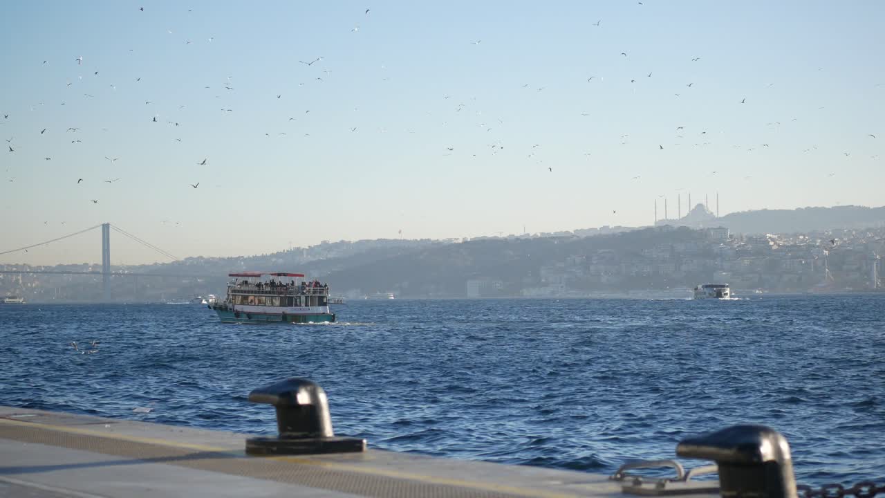 Istanbul Skyline with Ferry and Gulls