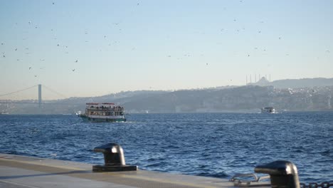 istanbul skyline with ferry and gulls