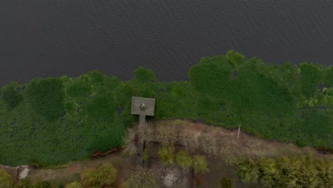 aerial view of a lake shore full of water hyacinths and a wood walkway and wood deck