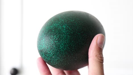 large green emu bird egg in hand