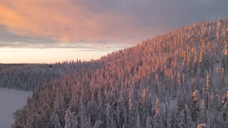 Panoramablick-Auf-Den-Sonnenaufgang-über-Dem-Winterlichen-Fichtenwald