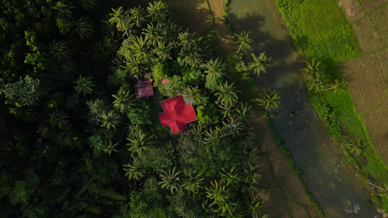Paesaggio lussureggiante dell'isola di Bohol con fiume e palme, luce solare che filtra, vista aerea.