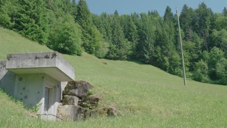 panning-shot-of-a-WW2-bunker-dug-into-the-side-of-a-hill-and-a-clearing-in-the-forest-on-a-slope-with-green-grass