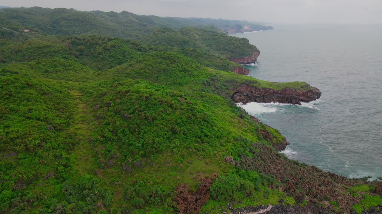 vista aérea del bosque y la colina en la costa con grandes olas marinas - toma de drones marinos