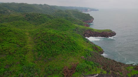 Aerial-view-of-forest-and-hill-on-the-coastline-with-big-sea-waves---Seascape-drone-shot