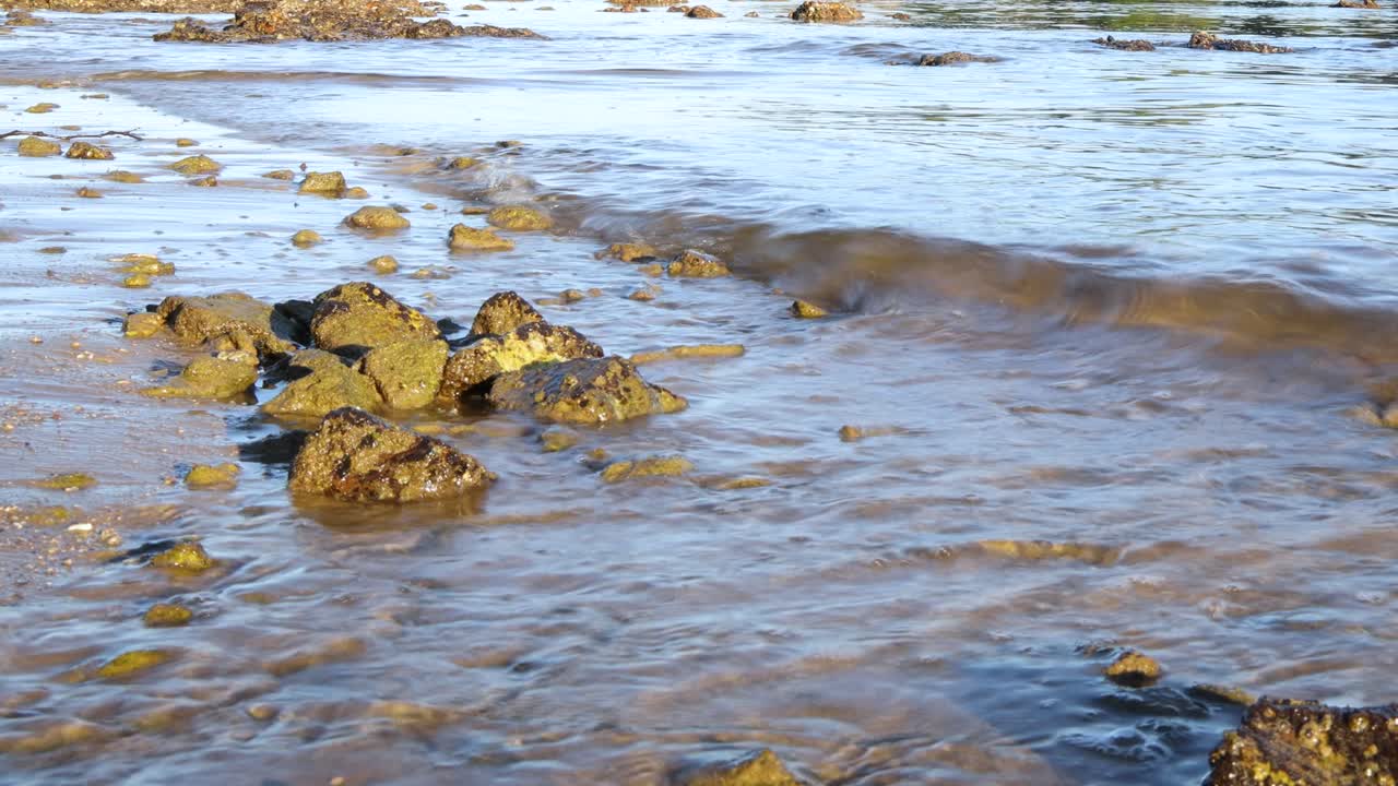 Onde marine con rocce sulla riva.