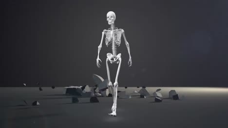 Esqueleto-Humano-Caminando-Sobre-El-Símbolo-Del-Euro-Cayendo-Y-Rompiéndose-Contra-El-Fondo-Gris