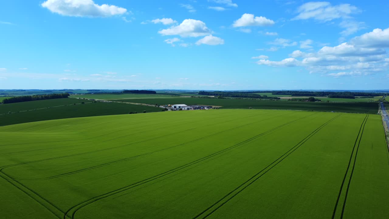Veduta aerea di sconfinati campi coltivati verdi nelle Piane di Salisbury nell'Inghilterra rurale.