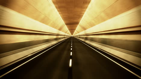 seamless animation on the endless ride through the center of an abstract underground way to nowhere. immersive lighted tunnel with no exit at the horizon line. front view. loopable. hd